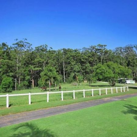 Cabin Country Retreat Paskins Farm Palmwoods Dış mekan fotoğraf